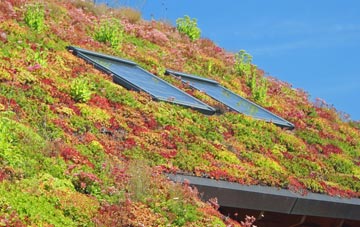 Narberth Bridge living roof systems