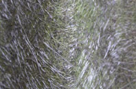 Narberth Bridge fibreglass roof work